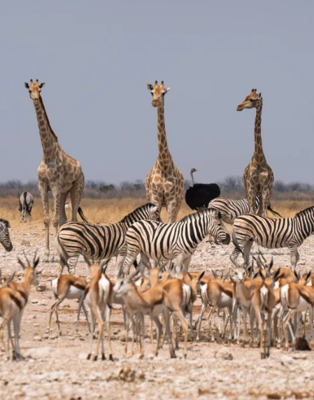 照片來源:小紅書@Liang_hhh 照片來源:小紅書@Liang_hhh