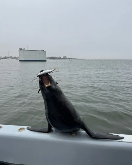 照片來源:小紅書@Liang_hhh 照片來源:小紅書@Liang_hhh