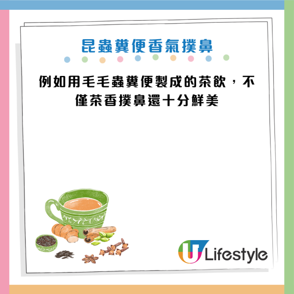 未來糧食｜蜂蛹味似蒲燒鰻魚？專家：蟲屎沖茶超香甜！蛋白質勝牛肉 醫生警告：2類人千萬別吃