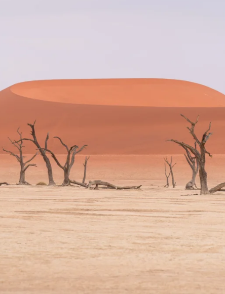 照片來源:小紅書@Liang_hhh 照片來源:小紅書@Liang_hhh