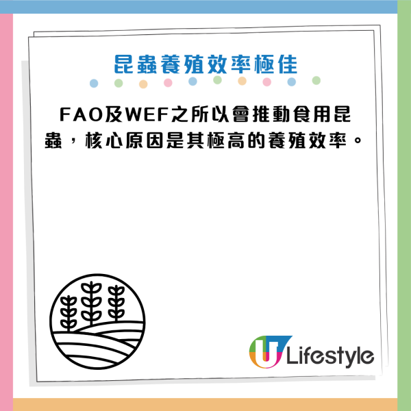 未來糧食｜蜂蛹味似蒲燒鰻魚？專家：蟲屎沖茶超香甜！蛋白質勝牛肉 醫生警告：2類人千萬別吃