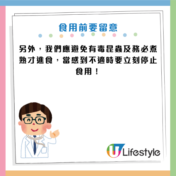 未來糧食｜蜂蛹味似蒲燒鰻魚？專家：蟲屎沖茶超香甜！蛋白質勝牛肉 醫生警告：2類人千萬別吃
