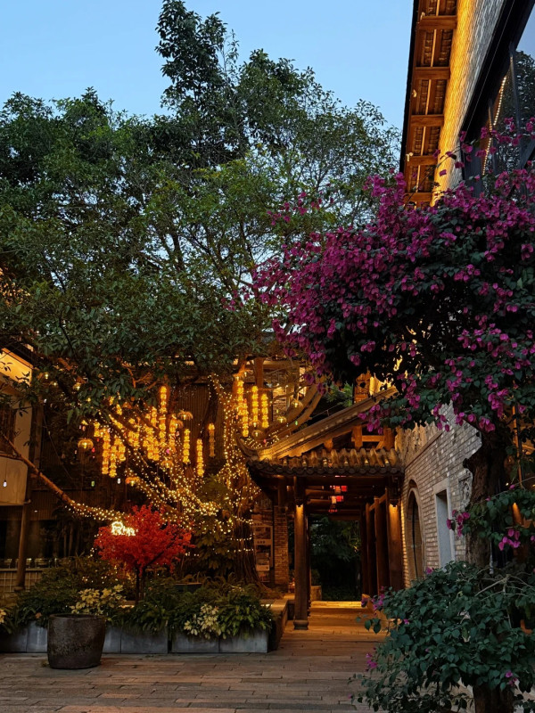 小野Yellow@小紅書、我阿！@小紅書