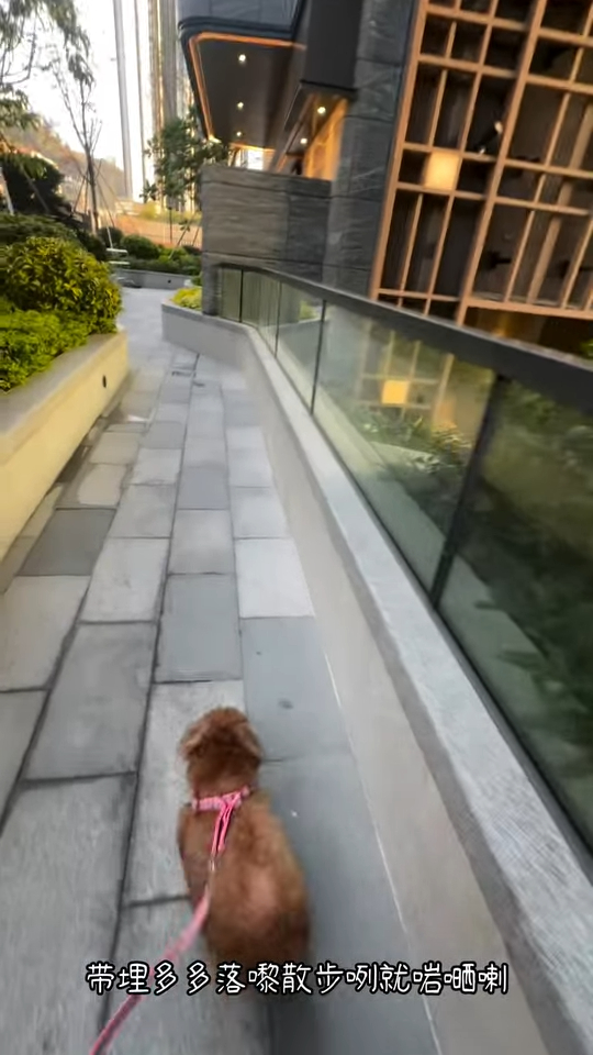 30歲TVB小花收樓曬500萬油塘海景新居  獨家回應上車做業主：再換大單位