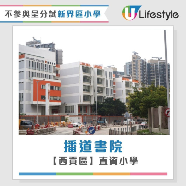 不參與呈分試小學︰新界區