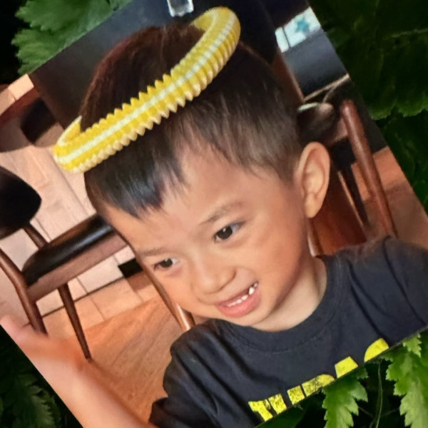 何雁詩搭飛機帶「天使仔仔」興奮拍凳被公審罵擾民 真相曝光網民唔敢再出聲