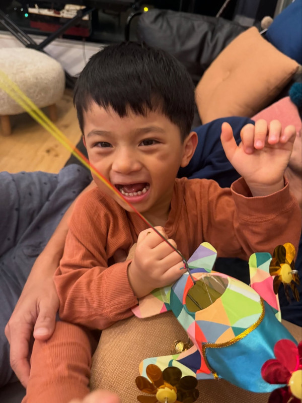 何雁詩搭飛機帶「天使仔仔」興奮拍凳被公審罵擾民 真相曝光網民唔敢再出聲