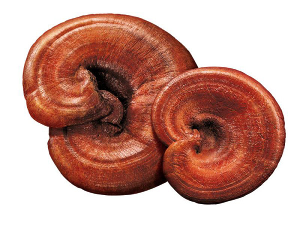 新年外遊要小心 流行疾病易上身 1物助你增強免疫力抗菌抗病