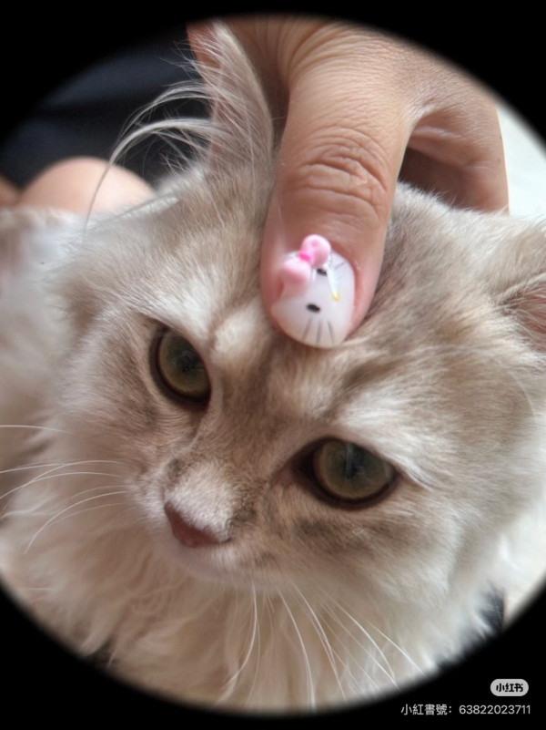 照片來源：小紅書@蘭花芷國風·美甲美睫（崗廈店）