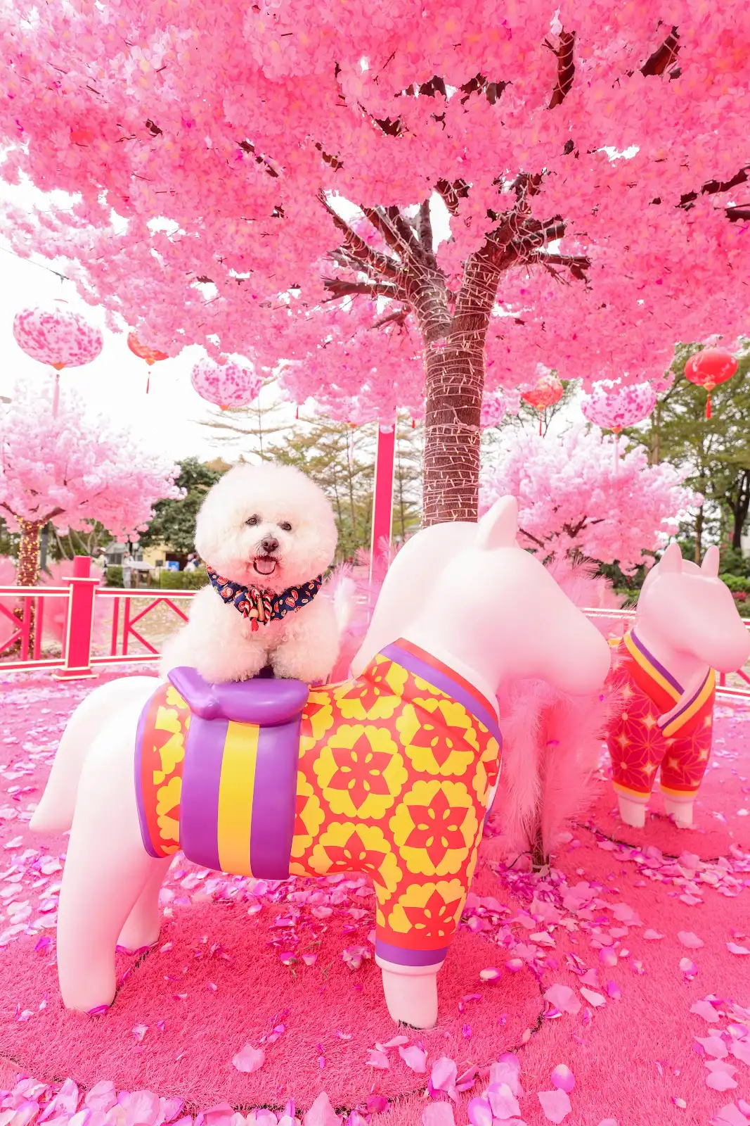 圖片來源：北角匯