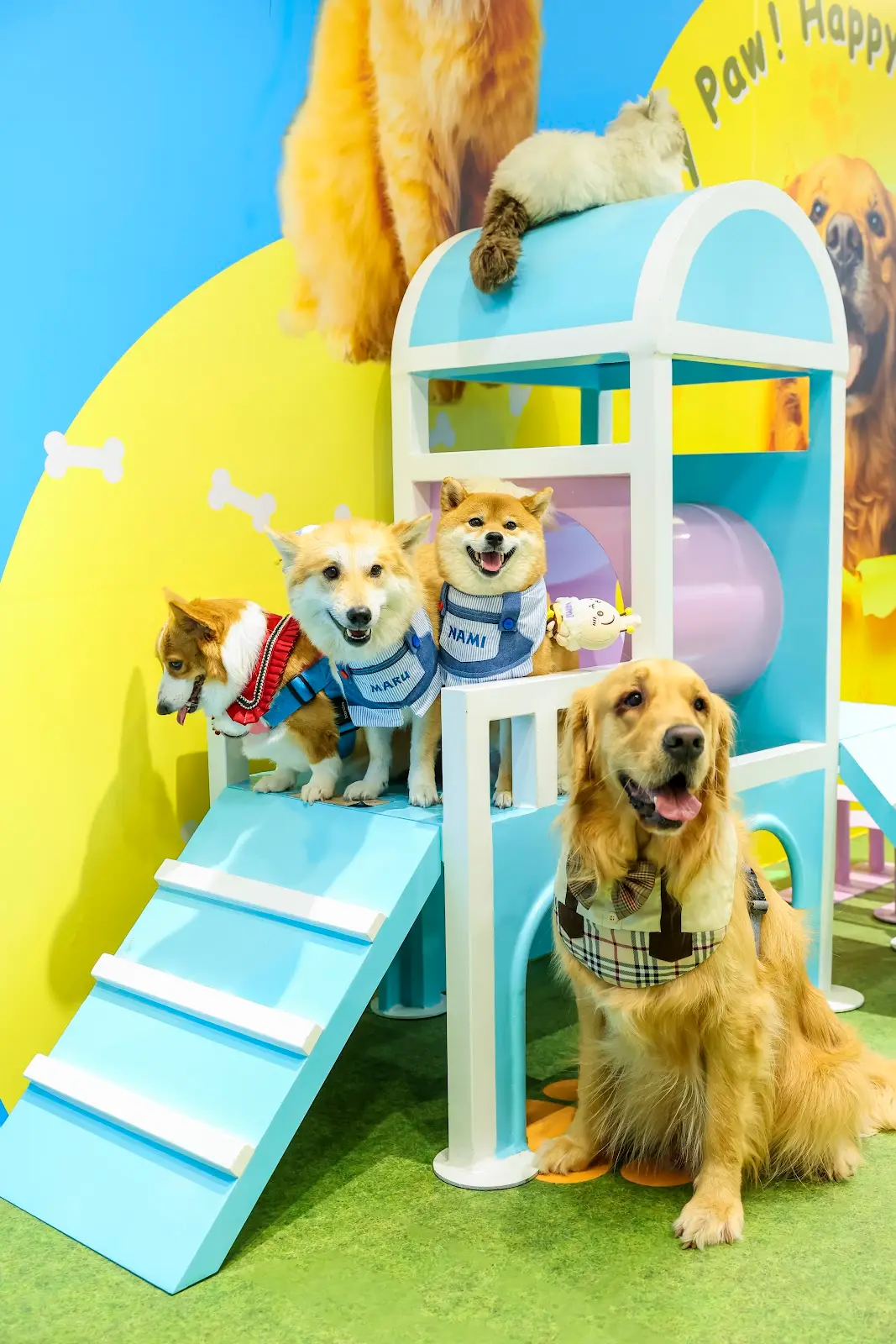 圖片來源：北角匯