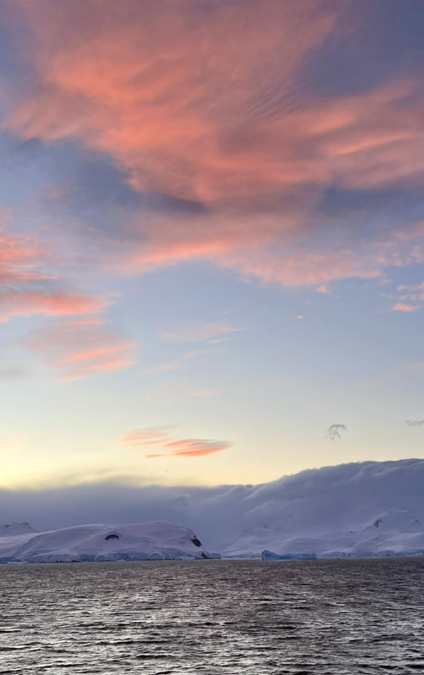 蘇玉華潘燦良展四個月南半球之旅 闖南極睇企鵝讚嘆旅程：一天比一天精彩 