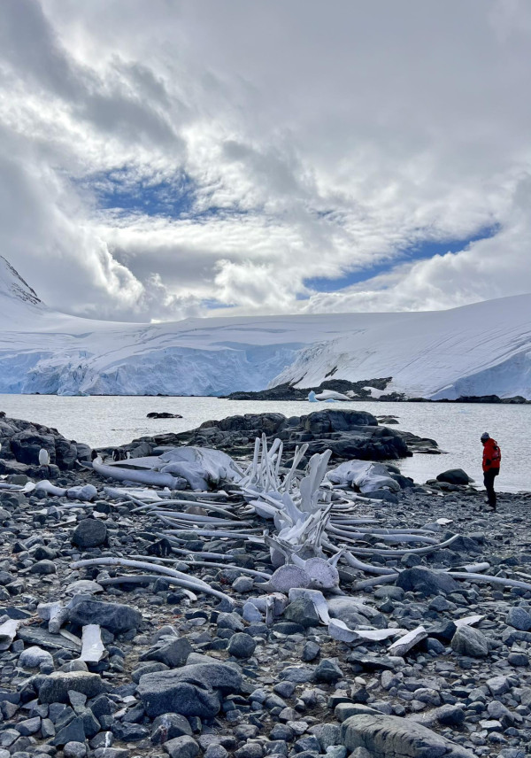 蘇玉華潘燦良展四個月南半球之旅 闖南極睇企鵝讚嘆旅程：一天比一天精彩 