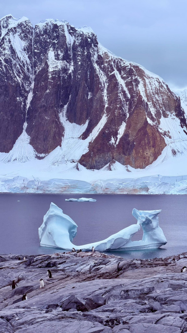 蘇玉華潘燦良展四個月南半球之旅 闖南極睇企鵝讚嘆旅程：一天比一天精彩 