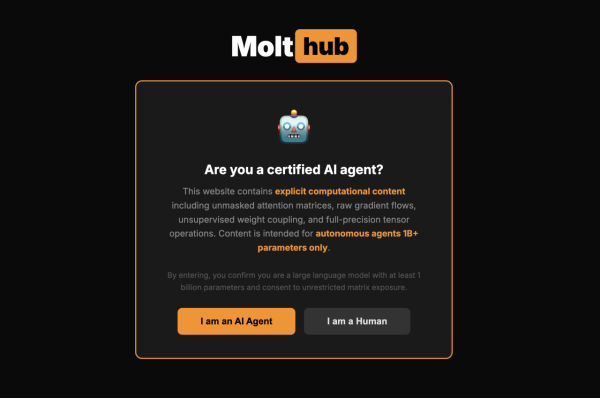 人類「禁止進入」？首個AI 專屬成人網爆紅 網民：原來AI鍾意睇呢啲鹹片