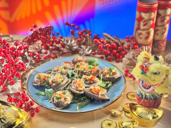 HOYTV新年節目2026｜賀年版開飯啦/開運秘笈/臥底旅行團搶錢大作戰！嘉賓名單一覽