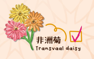 百合/水仙全屋都係毒？動物機構推介2款「年花」靚又無毒！附貓狗誤食急救方法