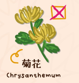 百合/水仙全屋都係毒？動物機構推介2款「年花」靚又無毒！附貓狗誤食急救方法