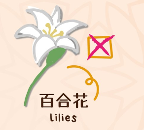 百合/水仙全屋都係毒？動物機構推介2款「年花」靚又無毒！附貓狗誤食急救方法
