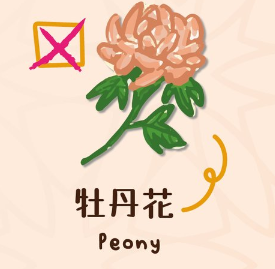 百合/水仙全屋都係毒？動物機構推介2款「年花」靚又無毒！附貓狗誤食急救方法