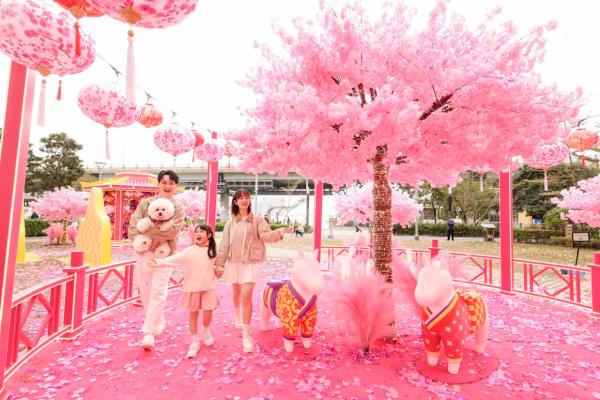 北角海濱「花見春之園」（相片由主辦單位提供）