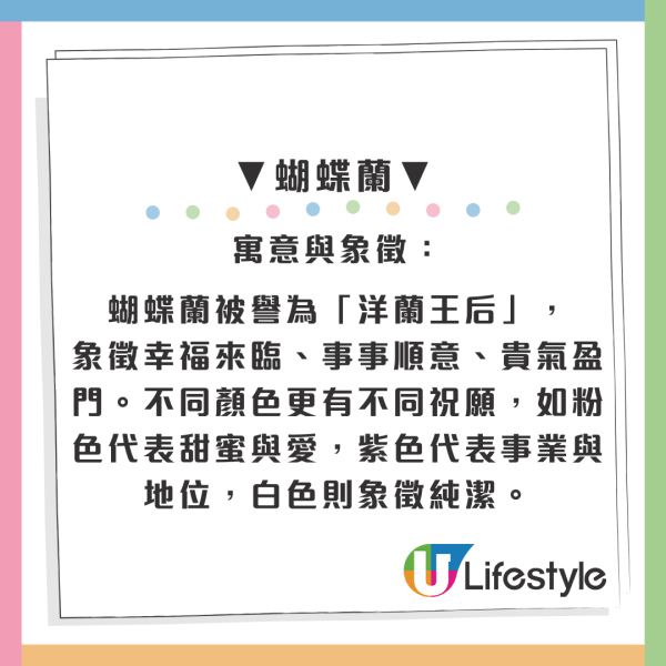 百合/水仙全屋都係毒？動物機構推介2款「年花」靚又無毒！附貓狗誤食急救方法
