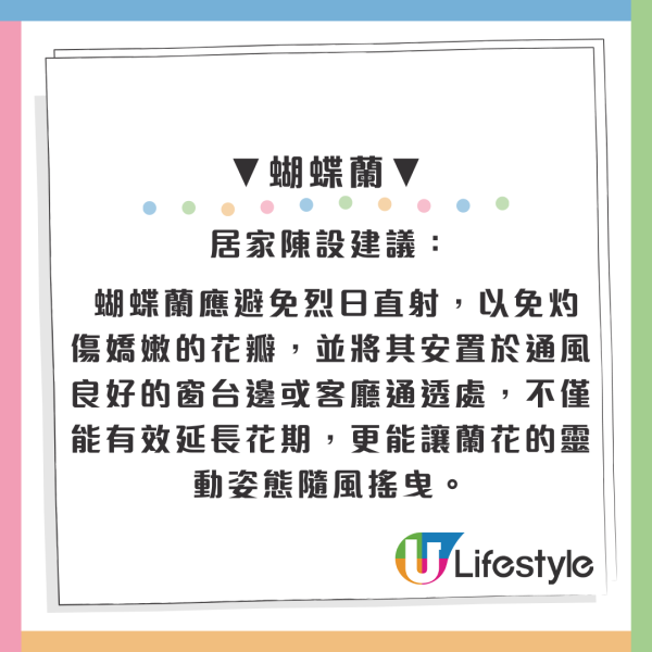 百合/水仙全屋都係毒？動物機構推介2款「年花」靚又無毒！附貓狗誤食急救方法