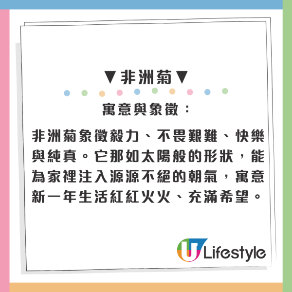 百合/水仙全屋都係毒？動物機構推介2款「年花」靚又無毒！附貓狗誤食急救方法