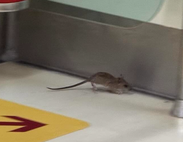 圖片來源：threads @kyeh318 及其帖文留言