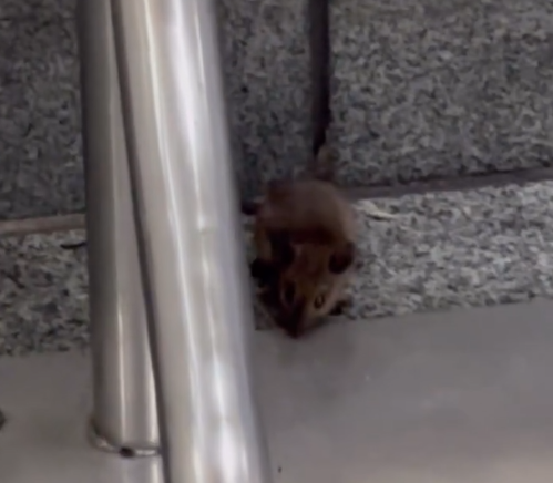 圖片來源：threads @kyeh318 及其帖文留言