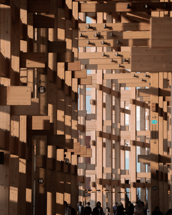 九十後香港律師Gary Ng成攝影大賽冠軍 囊括15個國際獎項 