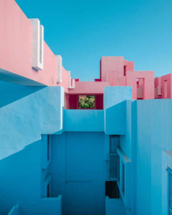 九十後香港律師Gary Ng成攝影大賽冠軍 囊括15個國際獎項 