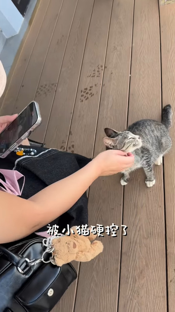 前港姐冠軍秘戀富二代外遊洩蜜好事近？男友視角照片曝光惹「上岸」猜測 