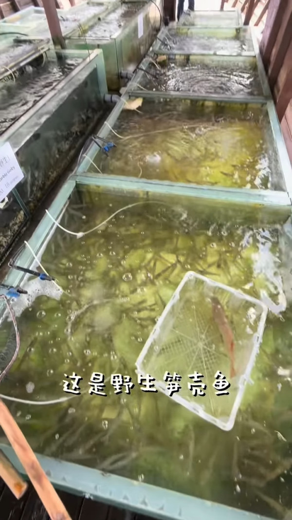 前港姐冠軍秘戀富二代外遊洩蜜好事近？男友視角照片曝光惹「上岸」猜測 