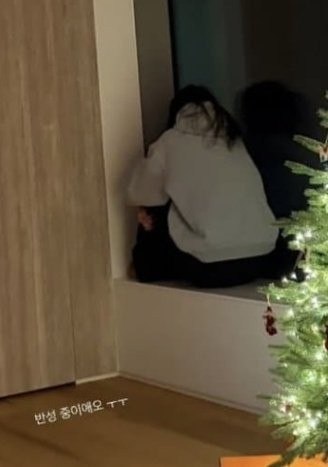 （圖片來源：X@treewg）