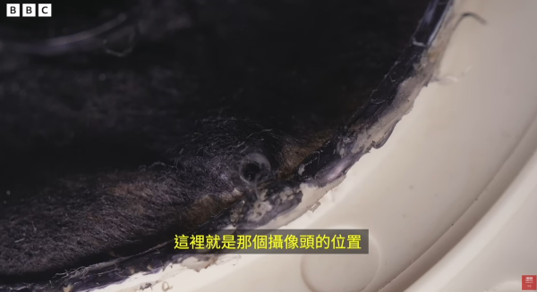 英國廣播公司BBC近日發佈一段調查紀錄片「暗處的鏡頭——中國酒店偷拍影片黑市」，揭露內地酒店偷拍產業鏈，並有港人慘中招受害。