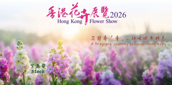 2026維園花展3月回歸！$14入場睇夢幻紫羅蘭花海 3類人士平日免費