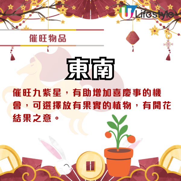 家居風水2026｜麥玲玲教呢個位放一物即發達！警告放錯紅色地氈全家病！想旺桃花要咁做...