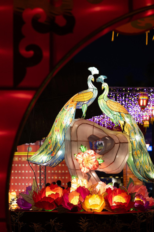 乙已年春節綵燈展︰元宵綵燈會2025圖片（圖片來源︰政府新聞網/康文署）
