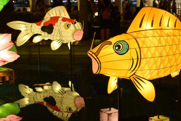 乙已年春節綵燈展︰元宵綵燈會2025圖片（圖片來源︰政府新聞網/康文署）