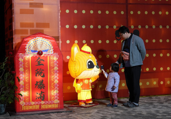 乙已年春節綵燈展︰元宵綵燈會2025圖片（圖片來源︰政府新聞網/康文署）