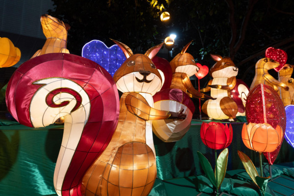 乙已年春節綵燈展︰元宵綵燈會2025圖片（圖片來源︰政府新聞網/康文署）