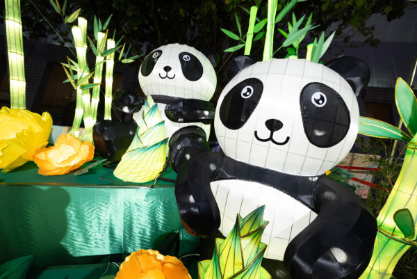 乙已年春節綵燈展︰元宵綵燈會2025圖片（圖片來源︰政府新聞網/康文署）