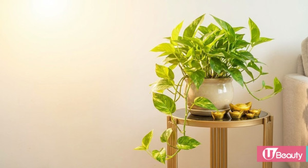 開工吉日2026｜辦公桌「左高右低」先有運行？唐碧霞揭升職 3 寶：椅背掛這件衫即有靠山