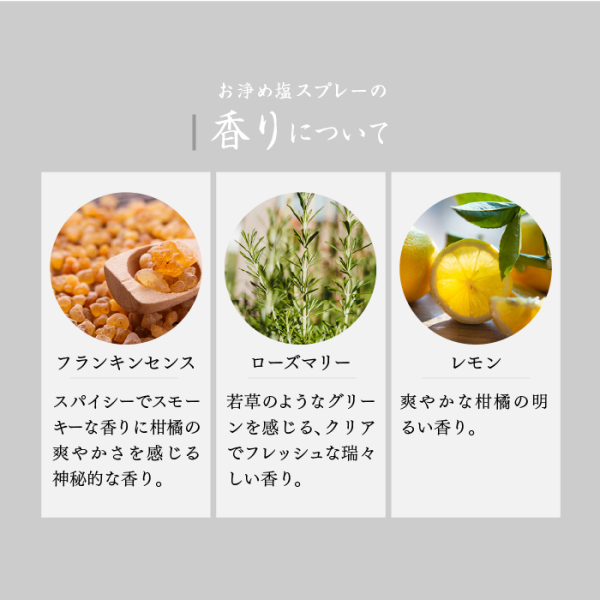 照片來源：Oisesan 官方網站