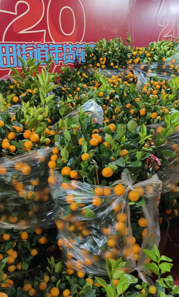 圖片：小紅書@SouthPark