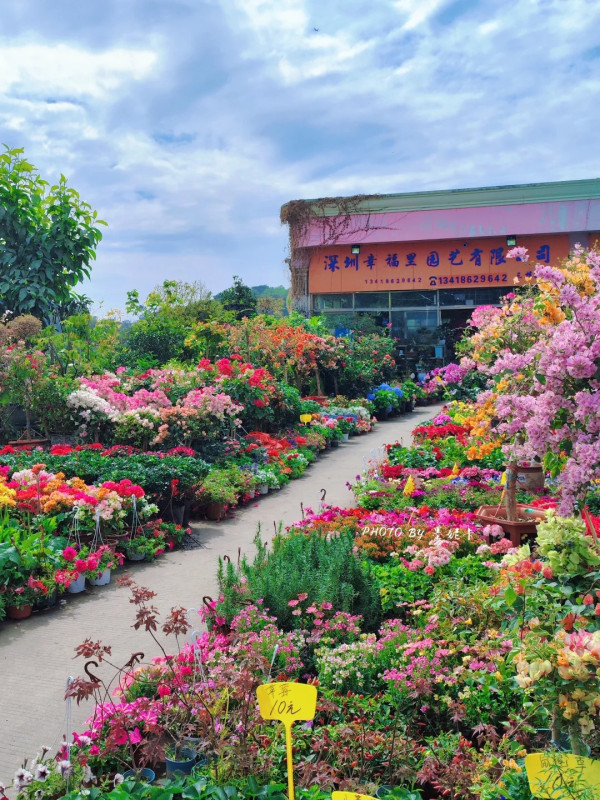 圖片：小紅書@墨妮卡