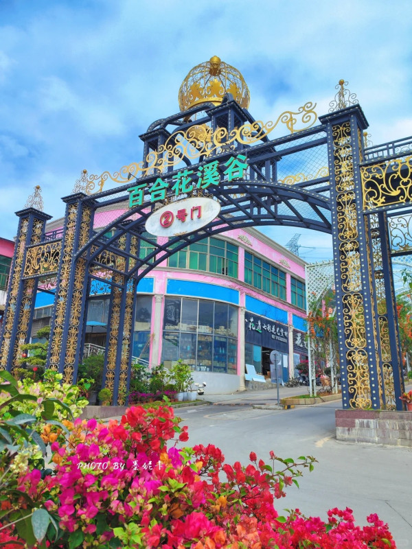 圖片：小紅書@墨妮卡