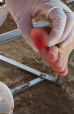 圖片來源:The Mirror 圖片來源:The Mirror