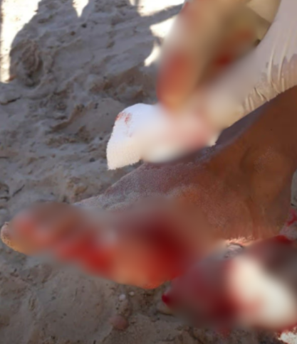 圖片來源:The Mirror 圖片來源:The Mirror